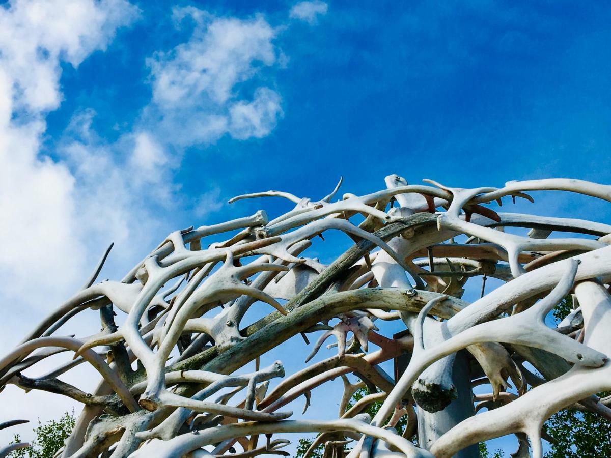 Отель Wild Caribou Dome Лаксэльв Экстерьер фото